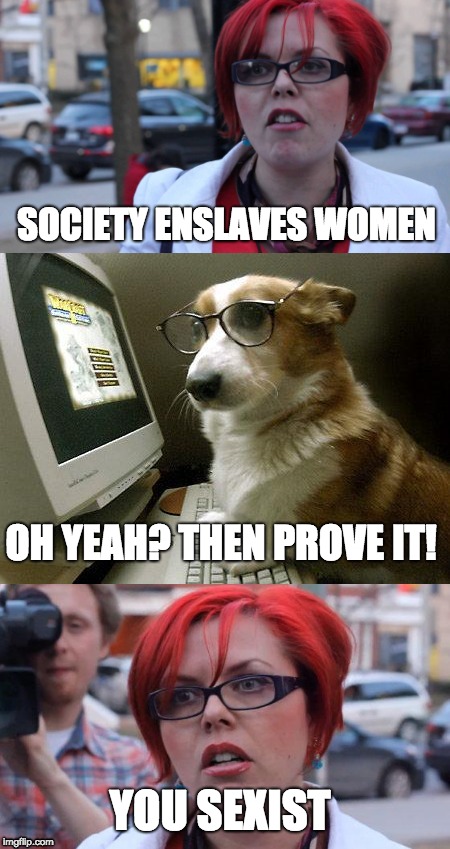 Don't ask a Feminist questions...  | SOCIETY ENSLAVES WOMEN; OH YEAH? THEN PROVE IT! YOU SEXIST | image tagged in triggered feminist | made w/ Imgflip meme maker