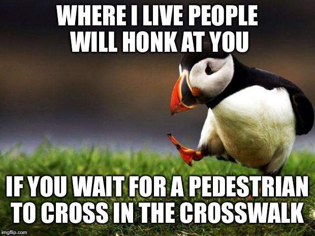 Unpopular Opinion Puffin Meme | WHERE I LIVE PEOPLE WILL HONK AT YOU IF YOU WAIT FOR A PEDESTRIAN TO CROSS IN THE CROSSWALK | image tagged in memes,unpopular opinion puffin | made w/ Imgflip meme maker