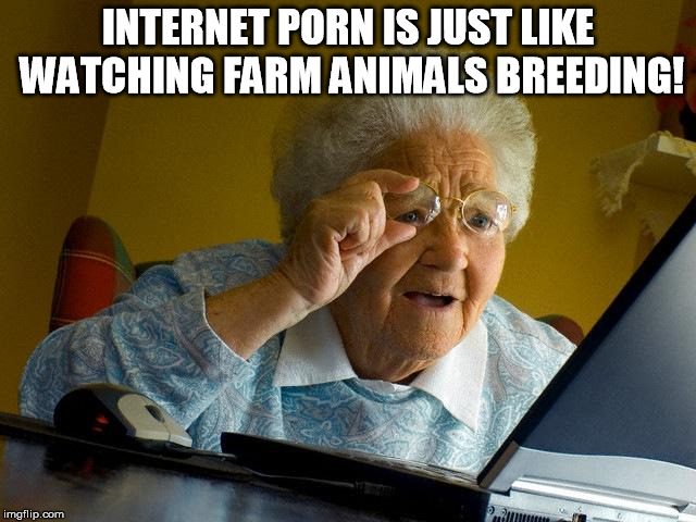 Grandma Finds The Internet Meme | INTERNET PORN IS JUST LIKE WATCHING FARM ANIMALS BREEDING! | image tagged in memes,grandma finds the internet | made w/ Imgflip meme maker
