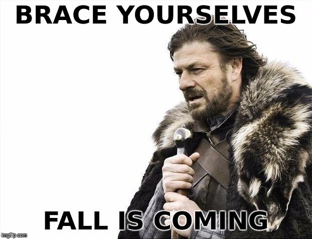 Brace Yourselves X is Coming | BRACE YOURSELVES; FALL IS COMING | image tagged in memes,brace yourselves x is coming | made w/ Imgflip meme maker