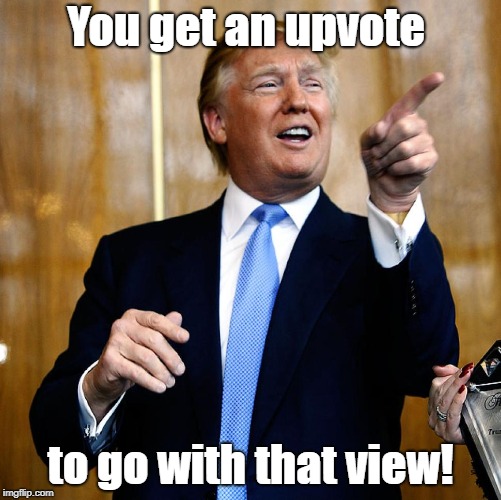 And the view is fantastic! | You get an upvote; to go with that view! | image tagged in upvote,memes | made w/ Imgflip meme maker