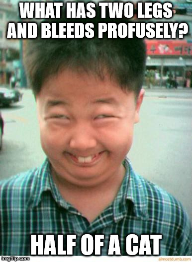funny asian face | WHAT HAS TWO LEGS AND BLEEDS PROFUSELY? HALF OF A CAT | image tagged in funny asian face | made w/ Imgflip meme maker