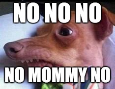 Nooo  | NO NO NO; NO MOMMY NO | image tagged in lisp dog | made w/ Imgflip meme maker