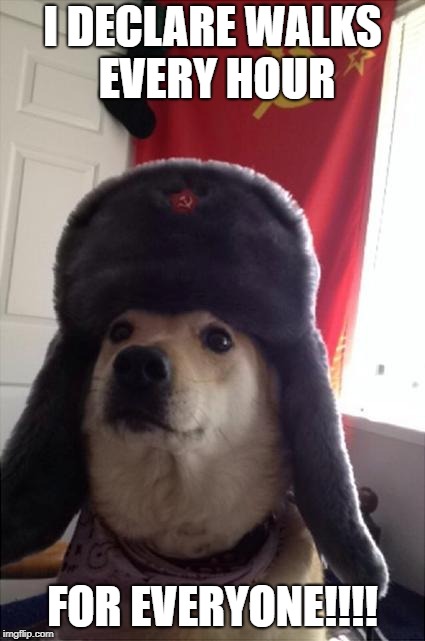 communist dog | I DECLARE WALKS EVERY HOUR; FOR EVERYONE!!!! | image tagged in communist dog | made w/ Imgflip meme maker