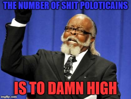 The truth | THE NUMBER OF SHIT POLOTICAINS; IS TO DAMN HIGH | image tagged in memes,too damn high,politics,political meme,true | made w/ Imgflip meme maker