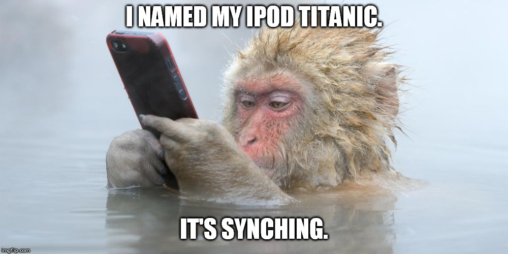 Ipod Snowmonkey | I NAMED MY IPOD TITANIC. IT'S SYNCHING. | image tagged in ipod snowmonkey | made w/ Imgflip meme maker
