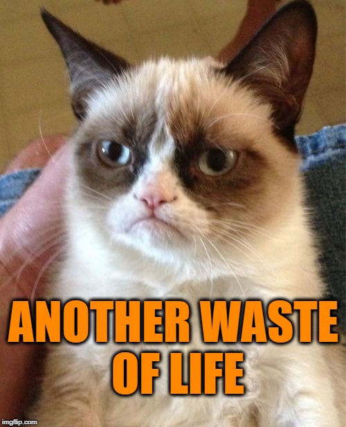 Grumpy Cat Meme | ANOTHER WASTE OF LIFE | image tagged in memes,grumpy cat | made w/ Imgflip meme maker