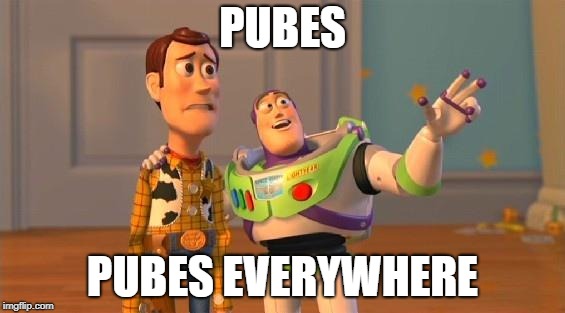 Buzz And Woody | PUBES; PUBES EVERYWHERE | image tagged in buzz and woody | made w/ Imgflip meme maker