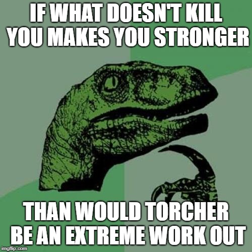 Philosoraptor Meme | IF WHAT DOESN'T KILL YOU MAKES YOU STRONGER; THAN WOULD TORCHER BE AN EXTREME WORK OUT | image tagged in memes,philosoraptor | made w/ Imgflip meme maker
