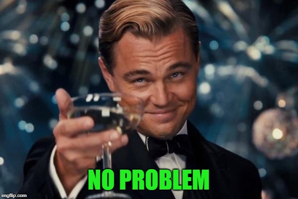 Leonardo Dicaprio Cheers Meme | NO PROBLEM | image tagged in memes,leonardo dicaprio cheers | made w/ Imgflip meme maker
