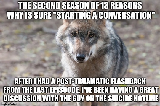 starting a conversation | THE SECOND SEASON OF 13 REASONS WHY IS SURE "STARTING A CONVERSATION"; AFTER I HAD A POST-TRUAMATIC FLASHBACK FROM THE LAST EPISOODE, I'VE BEEN HAVING A GREAT DISCUSSION WITH THE GUY ON THE SUICIDE HOTLINE | image tagged in depressed wolf,memes,13 reasons why | made w/ Imgflip meme maker