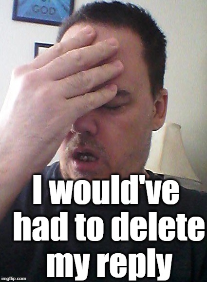 face palm | I would've had to delete my reply | image tagged in face palm | made w/ Imgflip meme maker