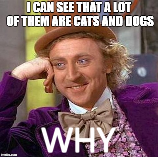 Creepy Condescending Wonka Meme | I CAN SEE THAT A LOT OF THEM ARE CATS AND DOGS WHY | image tagged in memes,creepy condescending wonka | made w/ Imgflip meme maker