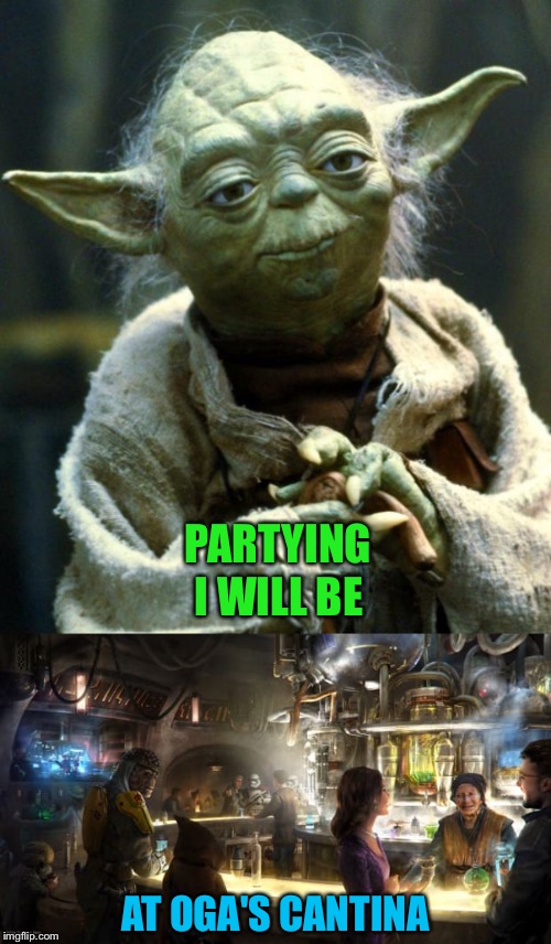 First booze to be served at Disneyland in the Star Wars themed bar. | PARTYING; I WILL BE; AT OGA'S CANTINA | image tagged in star wars,star wars yoda,disneyland,memes,funny | made w/ Imgflip meme maker