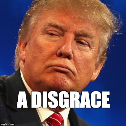 A disgrace. | A DISGRACE | image tagged in donald trump,trump,fraud | made w/ Imgflip meme maker