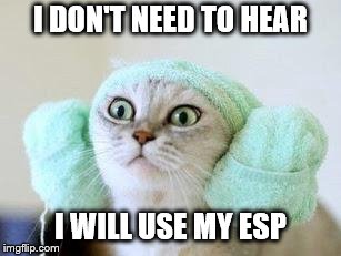 Cat With Ear Muffs. | I DON'T NEED TO HEAR; I WILL USE MY ESP | image tagged in cat with ear muffs | made w/ Imgflip meme maker