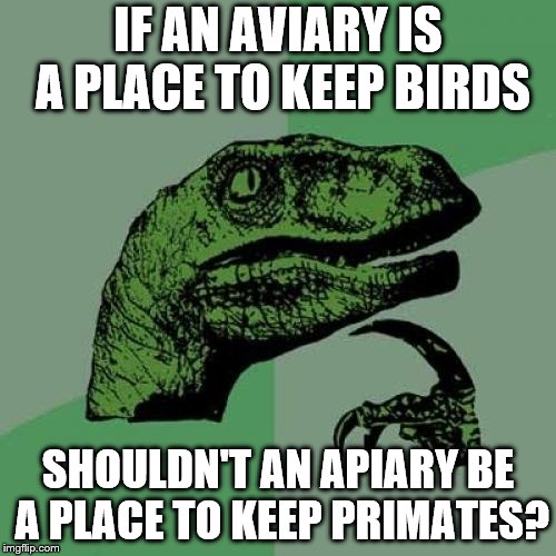 Philosoraptor Meme | IF AN AVIARY IS A PLACE TO KEEP BIRDS; SHOULDN'T AN APIARY BE A PLACE TO KEEP PRIMATES? | image tagged in memes,philosoraptor | made w/ Imgflip meme maker