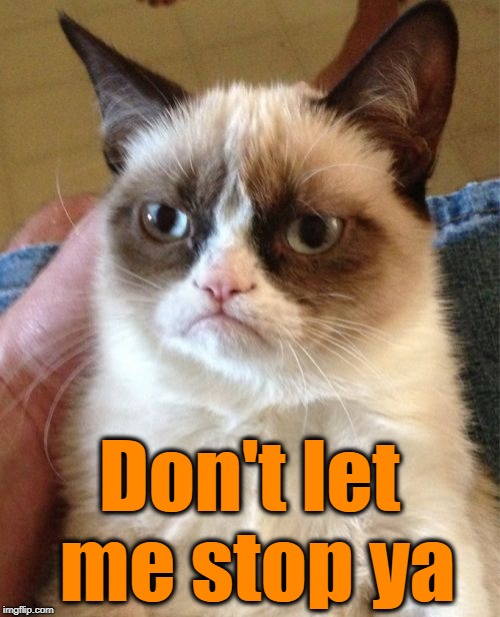 Grumpy Cat Meme | Don't let me stop ya | image tagged in memes,grumpy cat | made w/ Imgflip meme maker