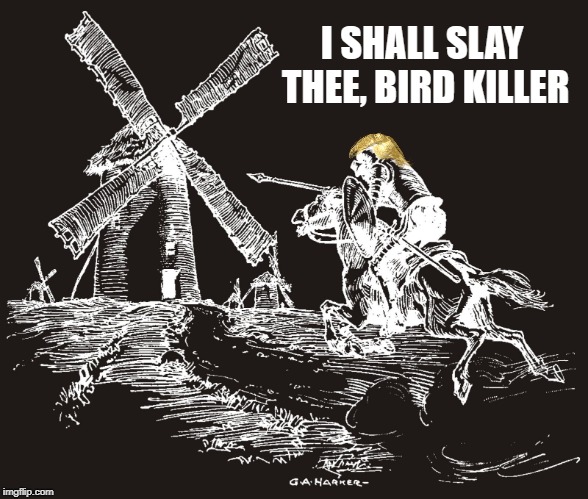 Evil Windmills | I SHALL SLAY THEE, BIRD KILLER | image tagged in trump,windmill,windmills,wind power | made w/ Imgflip meme maker