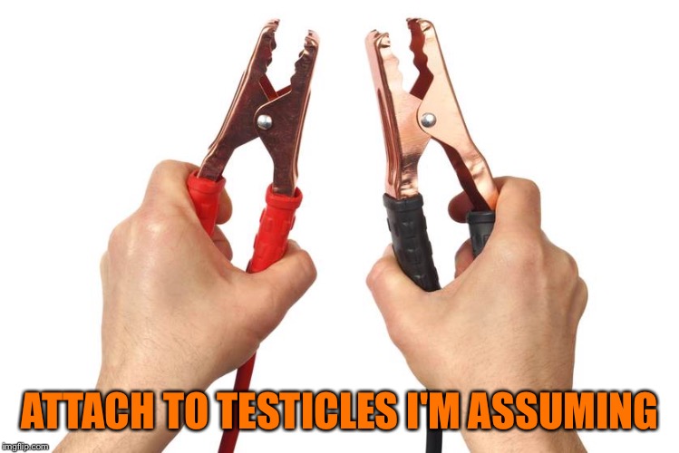 ATTACH TO TESTICLES I'M ASSUMING | made w/ Imgflip meme maker