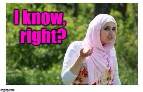 Confused Muslim Girl | I know,  right? | image tagged in confused muslim girl | made w/ Imgflip meme maker