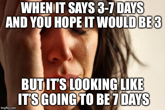 First World Problems Meme | WHEN IT SAYS 3-7 DAYS AND YOU HOPE IT WOULD BE 3; BUT IT’S LOOKING LIKE IT’S GOING TO BE 7 DAYS | image tagged in memes,first world problems | made w/ Imgflip meme maker
