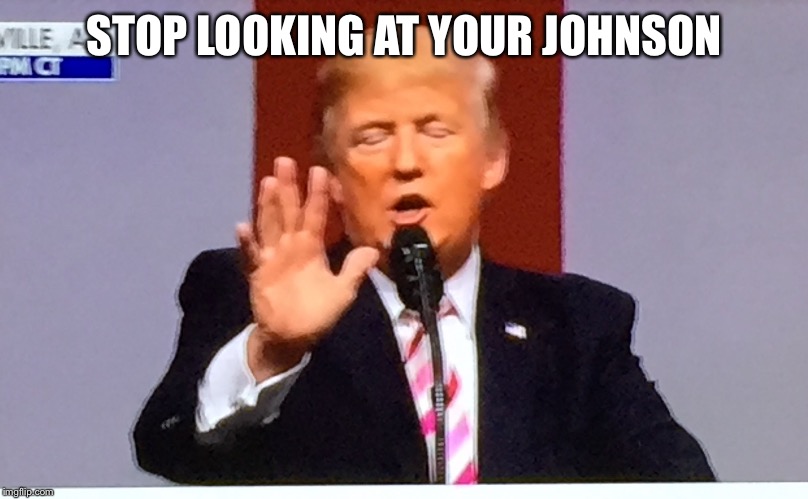 Trump no BS | STOP LOOKING AT YOUR JOHNSON | image tagged in trump no bs | made w/ Imgflip meme maker