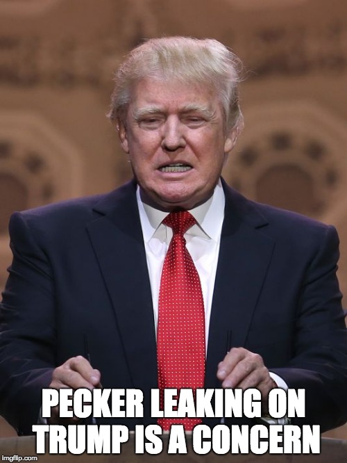 Donald Trump | PECKER LEAKING ON TRUMP IS A CONCERN | image tagged in donald trump | made w/ Imgflip meme maker