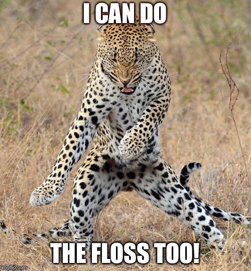 Leopard Dancing | I CAN DO; THE FLOSS TOO! | image tagged in leopard dancing | made w/ Imgflip meme maker