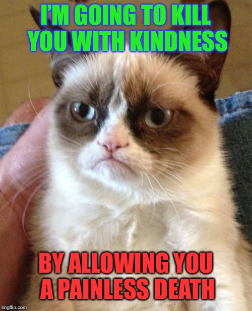 Grumpy cat just got evil | I’M GOING TO KILL YOU WITH KINDNESS; BY ALLOWING YOU A PAINLESS DEATH | image tagged in memes,grumpy cat | made w/ Imgflip meme maker