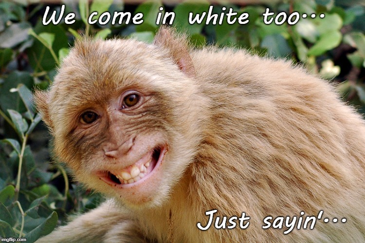 Monkeys... | We come in white too... Just sayin'... | image tagged in white,too,just sayin' | made w/ Imgflip meme maker