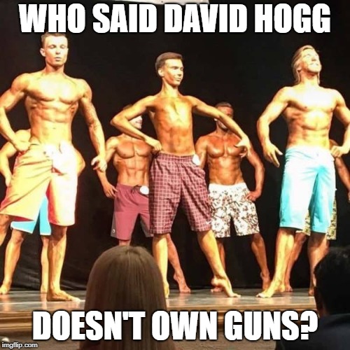 Who said David Hogg doesn't own guns? | WHO SAID DAVID HOGG; DOESN'T OWN GUNS? | image tagged in david hogg,guns,bodybuilding,gun control,twink,biceps | made w/ Imgflip meme maker