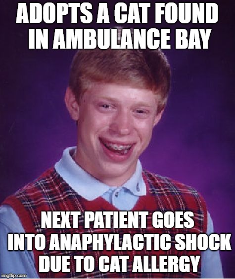 Bad Luck Brian Meme | ADOPTS A CAT FOUND IN AMBULANCE BAY; NEXT PATIENT GOES INTO ANAPHYLACTIC SHOCK DUE TO CAT ALLERGY | image tagged in memes,bad luck brian | made w/ Imgflip meme maker