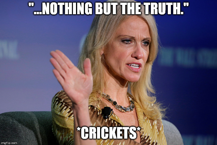 Kellyanne Conway on the stand, or "I plead the 5th", or "Who's next?" | "...NOTHING BUT THE TRUTH."; *CRICKETS* | image tagged in kellyanne conway slap,court,hearings,evil stepmother,alternative facts | made w/ Imgflip meme maker