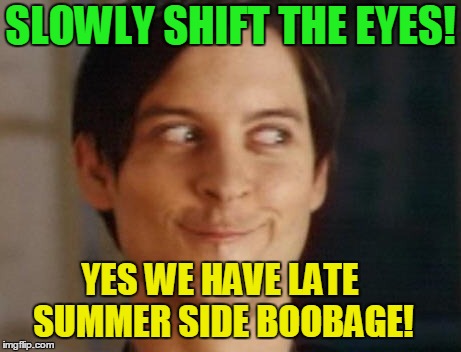 Houston we have side boobage! | SLOWLY SHIFT THE EYES! YES WE HAVE LATE SUMMER SIDE BOOBAGE! | image tagged in memes,spiderman peter parker,summer time,its a guy thing | made w/ Imgflip meme maker