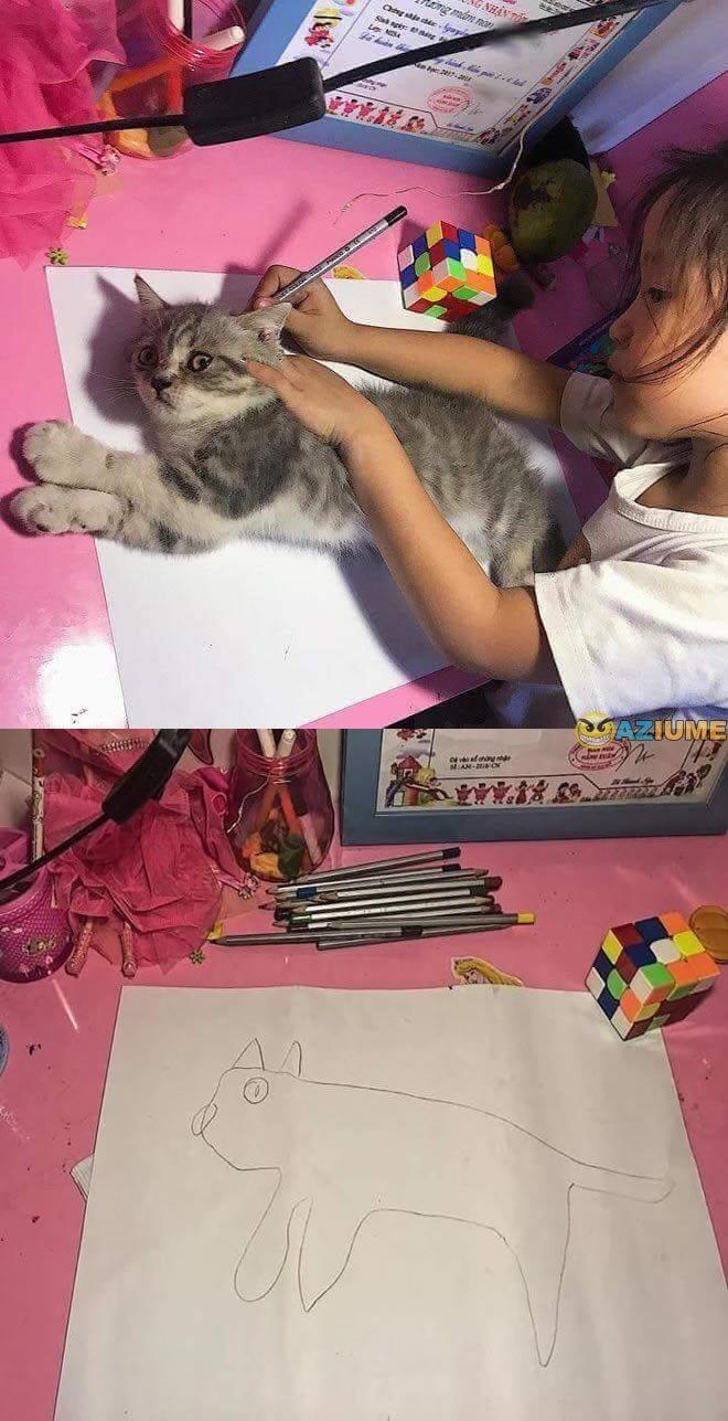 Copy cat Blank Meme Template
