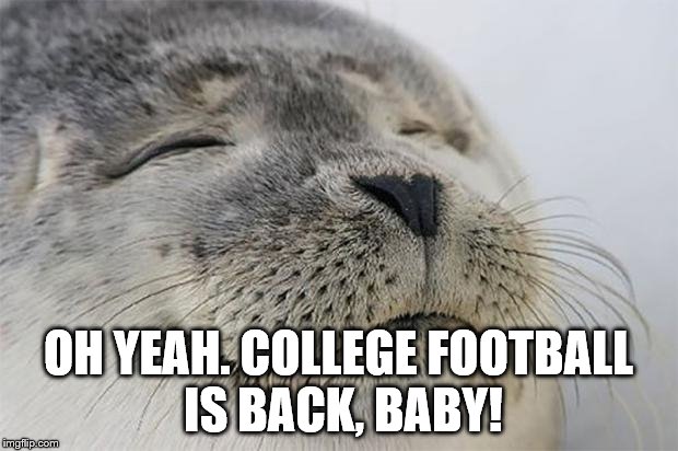 It's here! | OH YEAH. COLLEGE FOOTBALL IS BACK, BABY! | image tagged in satisfied seal,college football | made w/ Imgflip meme maker