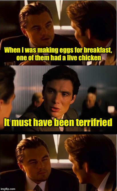 Best fried chicken ever | When I was making eggs for breakfast, one of them had a live chicken; It must have been terrifried | image tagged in memes,inception,bad pun,eggs,chicken | made w/ Imgflip meme maker
