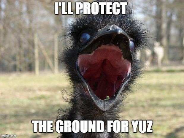 Laughing Emu | I'LL PROTECT THE GROUND FOR YUZ | image tagged in laughing emu | made w/ Imgflip meme maker