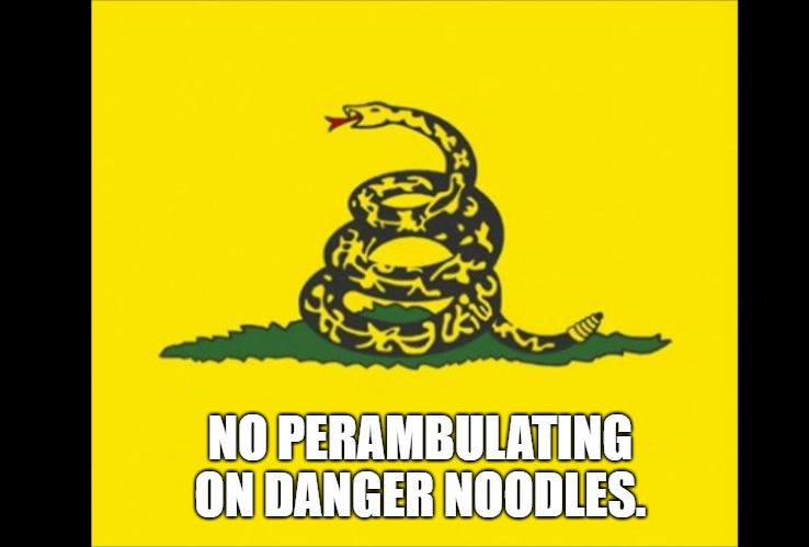 Danger noodle | NO PERAMBULATING ON DANGER NOODLES. | image tagged in danger noodle | made w/ Imgflip meme maker