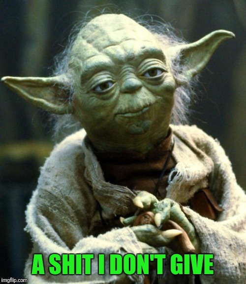 Have fun dudes and dudettes | A SHIT I DON'T GIVE | image tagged in memes,star wars yoda | made w/ Imgflip meme maker