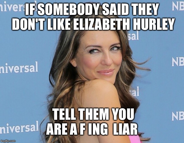 liz  | IF SOMEBODY SAID THEY DON'T LIKE ELIZABETH HURLEY; TELL THEM YOU ARE A F ING  LIAR | image tagged in liz,milf | made w/ Imgflip meme maker