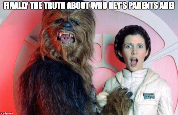 The truth is finally here. | FINALLY THE TRUTH ABOUT WHO REY'S PARENTS ARE! | image tagged in chewbacca,princess leia,rey,wookie nookie | made w/ Imgflip meme maker