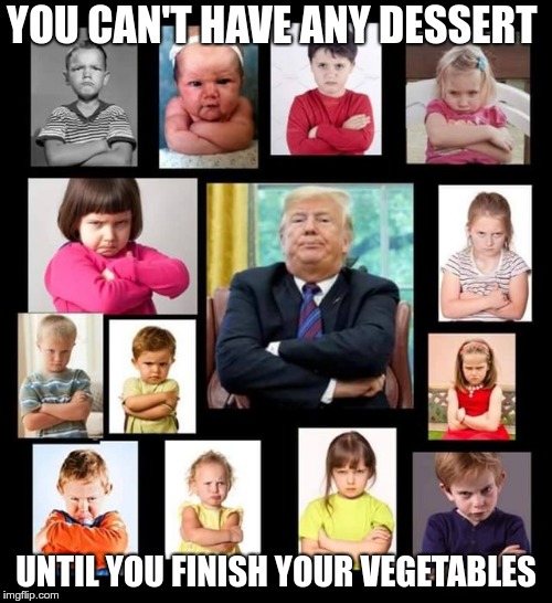 Pouting President | YOU CAN'T HAVE ANY DESSERT; UNTIL YOU FINISH YOUR VEGETABLES | image tagged in trump,pouting,baby,tantrum,whinier | made w/ Imgflip meme maker