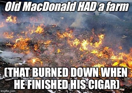 old MacDonald meme | Old MacDonald HAD a farm; (THAT BURNED DOWN WHEN HE FINISHED HIS CIGAR) | image tagged in nursery rhymes | made w/ Imgflip meme maker