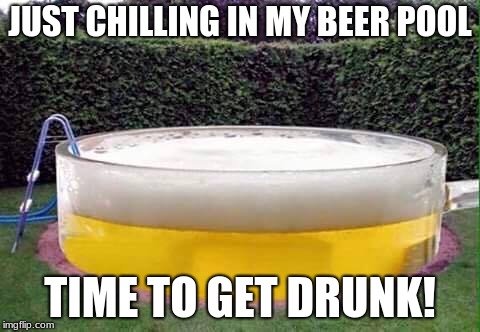 beer pool | JUST CHILLING IN MY BEER POOL; TIME TO GET DRUNK! | image tagged in beer pool | made w/ Imgflip meme maker
