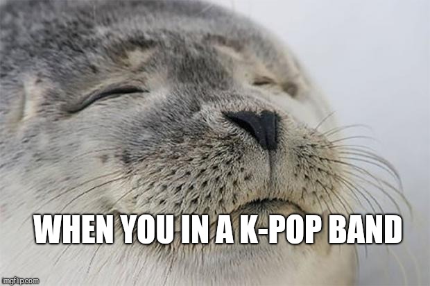 Satisfied Seal | WHEN YOU IN A K-POP BAND | image tagged in memes,satisfied seal | made w/ Imgflip meme maker