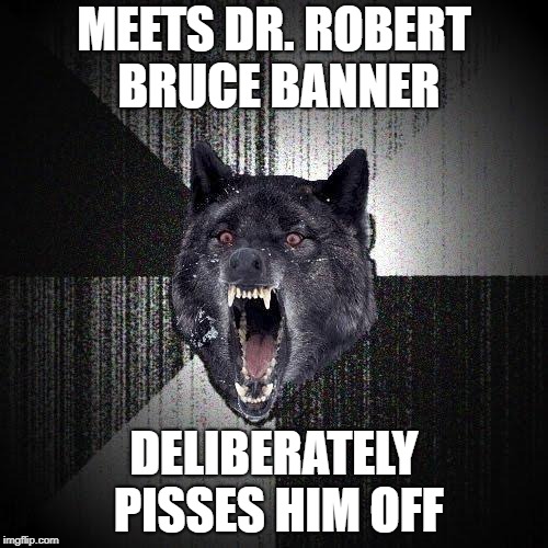 RRRAAAAHHH! Hulk smash! | MEETS DR. ROBERT BRUCE BANNER; DELIBERATELY PISSES HIM OFF | image tagged in memes,insanity wolf | made w/ Imgflip meme maker