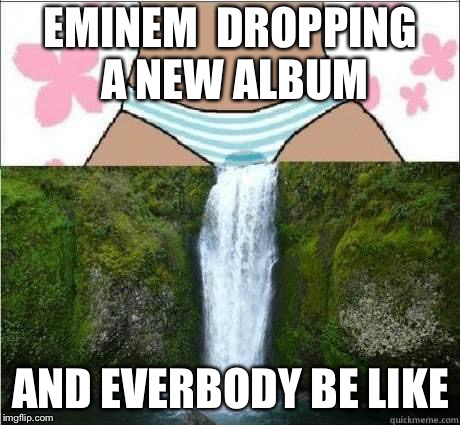 wet panties | EMINEM  DROPPING A NEW ALBUM; AND EVERBODY BE LIKE | image tagged in wet panties | made w/ Imgflip meme maker