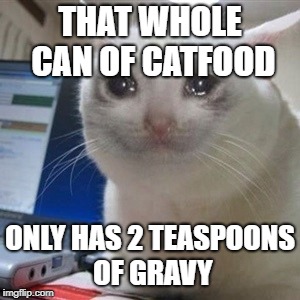 Crying cat | THAT WHOLE CAN OF CATFOOD; ONLY HAS 2 TEASPOONS OF GRAVY | image tagged in crying cat | made w/ Imgflip meme maker